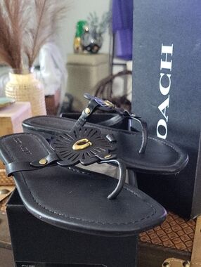 7.5 COACH JULIA SANDALS in black! Super cute and NIB! A Great Gift